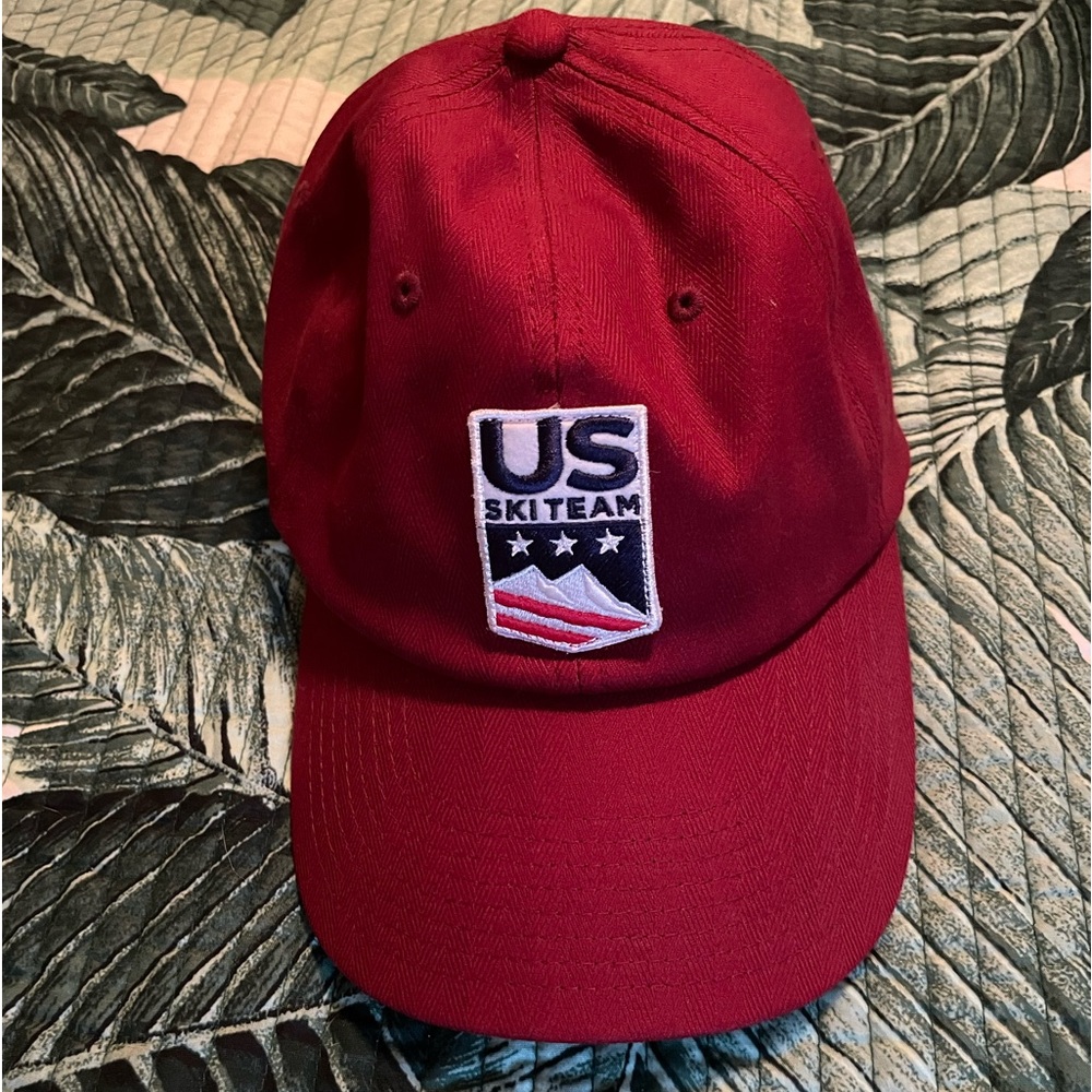 Alps & Meters US ski team cap